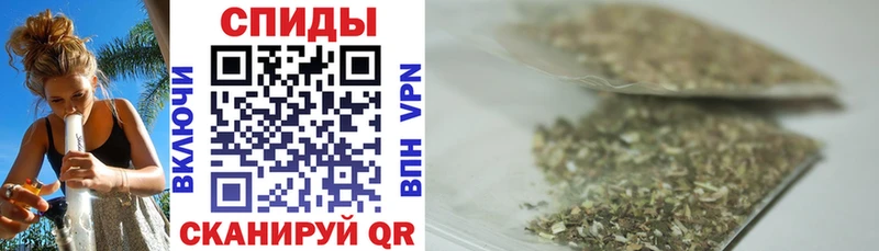 Купить  Черноголовка  БУТИРАТ BDO 