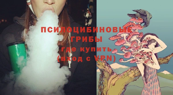 прущие крисы Нефтекумск