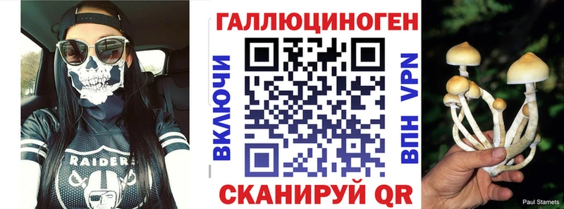 Галлюциногенные грибы Psilocybe  Купить  Черноголовка